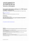 Research paper thumbnail of Synergistic deformation pathways in a TWIP steel at cryogenic temperatures: In situ neutron diffraction