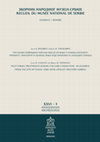 Research paper thumbnail of Post-firing treatments during the Early Eneolithic: An example from Šanac-Izba near Lipolist (Western Serbia) (In Serbian, summary in English)