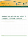 Research paper thumbnail of How big are post-harvest losses in Ethiopia? Evidence from teff