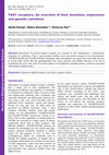 Research paper thumbnail of TAS1 receptors. An overview of their functions, expression and genetic variations