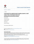 Research paper thumbnail of Fired shards from selected ancient Anatolian ceramics: a brief review of their mineralogical nature and pedological?microstructural evolution
