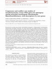 Research paper thumbnail of Congruence and conflict: case studies of morphotaxonomy versus rDNA gene tree phylogeny among articulate brachiopods (Brachiopoda: Rhynchonelliformea), with description of a new genus
