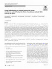 Research paper thumbnail of Causal underpinnings of working memory and Stroop interference control: Testing the effects of anodal and cathodal tDCS over the left DLPFC