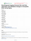 Research paper thumbnail of Bioorthogonal Imaging Uncovers Sex- and Diet-dependent Lipid Metabolic Changes in Drosophila Brain during Aging