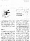 Research paper thumbnail of Genetics of genetics in Drosophila: P elements serving the study of homologous recombination, gene conversion and targeting.