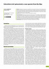 Research paper thumbnail of Sclerotinia cirsii-spinosissimi , a new species from the Alps
