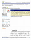 Research paper thumbnail of PEAK HOUR AT SMALL AIRPORTS -A CASE STUDY FOR REGIONAL AIRPORTS UNDER CONCESSION IN BRAZIL