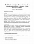 Research paper thumbnail of Multifunctional Polymer Heterostructures for Tandem Solar Cells with Embedded Energy Storage Capability