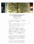 Research paper thumbnail of Human and Machine Consciousness - a systematic approach