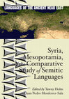 Research paper thumbnail of Western Aramaic Elements in Papyrus Amherst 63, the Aramaic Text in Demotic Script