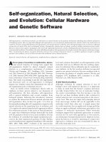 Research paper thumbnail of Self-organization, Natural Selection, and Evolution: Cellular Hardware and Genetic Software