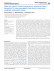 Research paper thumbnail of Does the inferior frontal sulcus play a functional role in deception? A neuronavigated theta-burst transcranial magnetic stimulation study