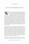 Research paper thumbnail of Into the Bramble Patch