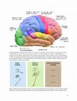 Research paper thumbnail of Agnosia