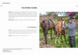 Research paper thumbnail of Seu Zé dos Cavalos/Seu Zé and his horses
