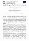 Research paper thumbnail of Text Variants and First Person Domain in Author Identification: Hermeneutic versus Computerized Methods