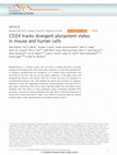 Research paper thumbnail of CD24 tracks divergent pluripotent states in mouse and human cells