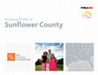 Research paper thumbnail of An Equity Profile of Sunflower County
