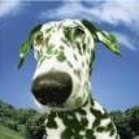 @Greendogo