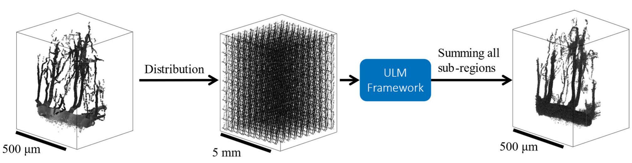 FIGURE 3. Unique microbubbles positions were randomly distributed in a 10 x 10x10 pattern to span over 5x5 x 6.5 mm. This example shows 1 million MB distributed in 1000 sub-regions, which results in 1000 MB in each sub-region. Even though fewer small vessels are present in each sub-region, this step is essential since the PSF is not uniform in the field of view and it also allows to span the usable MB concentration range. After the ULM framework and metrics computation, MB positions in sub-regions can be added back together in the original size volume to emulate a longer acquisition time for visualization purpos 