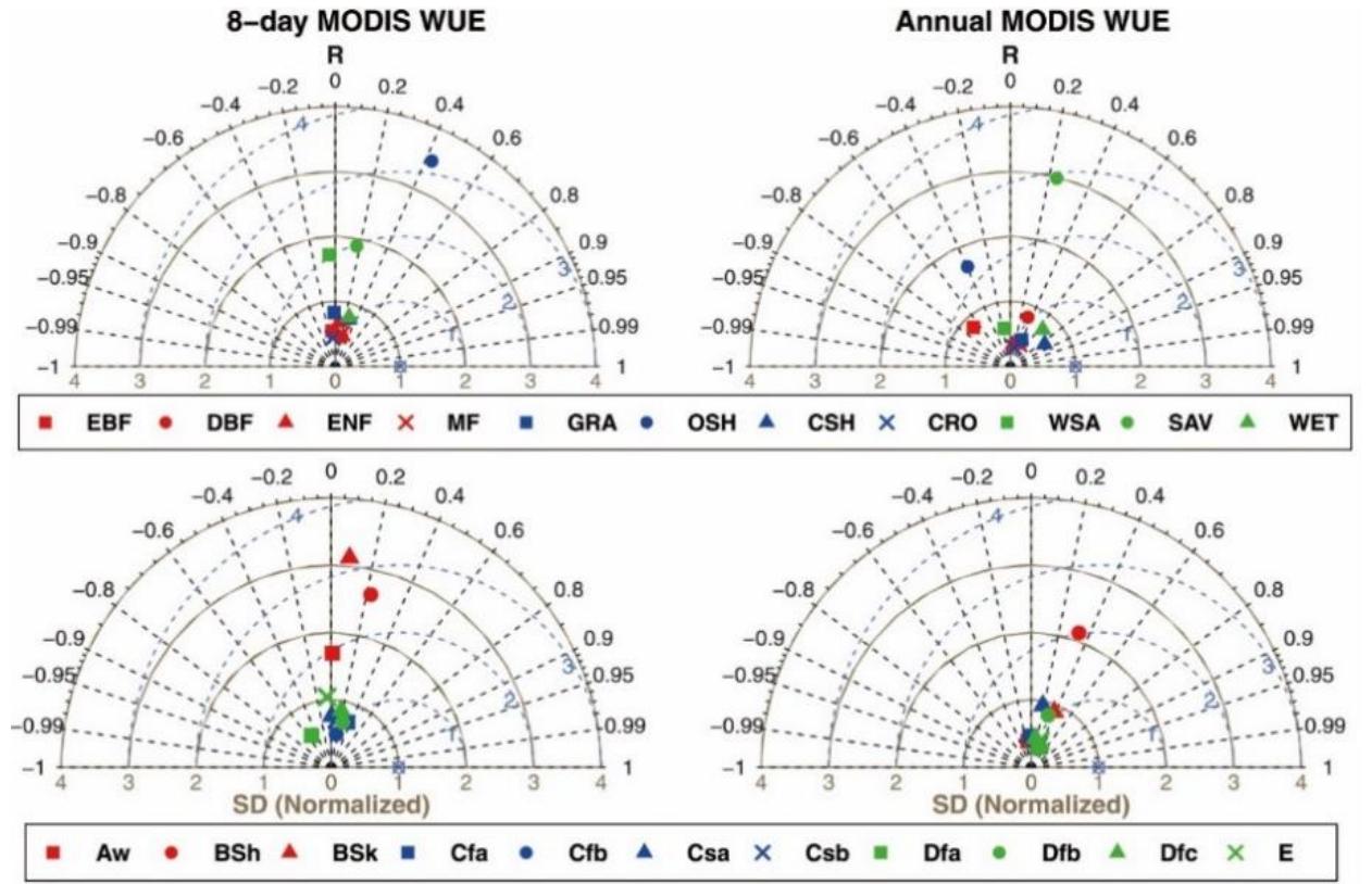Figure 5. Taylor diagrams of MODIS WUE compared to flux measurement for 11 plant functiona types and climate zones at 8-day and annual time scales [86]. Reprinted with permission. Adaptec with permission from ref. [86]. Copyright 2020 Elsevier.  Figure 5. Taylor diagrams of MODIS WUE compared to flux measurement for 11 plant functional  The MODIS GPP and ET products can indirectly estimate ecosystem WUE at an 8-day time scale with the advantage of upscaling carbon and water cycles, but uncertainties remain due to defects in algorithms [97]. Model parameters are mainly from a simple look-up table and uncertainty in model inputs is the source of uncertainty for MODIS GPP and ET products [105,106]. A single set of parameters for MODIS-based GPP and ET algorithms cannot exhibit the spatial heterogeneity of physiological characteristics for each biome [75]. Moreover, soil types, atmospheric conditions and changes in vegetation also affect the variability of physiological parameters [107], which can lead to larger biases in GPP and ET [108]. A parameter optimization method is used to calibrate and reduce uncertainty for the carbon cycle models of MODIS to improve the performance [109]. Those uncertainties are indicated through comparative studies, which show a poor performance of ecosystem WUE estimated by MODIS products indirectly (Figure 5) [86,110]. Therefore, an evaluation and validation of MODIS-based WUE are needed to improve the algorithm and to have new reliable remote sensing products across space and time. More precise structural and physiological parameters of vegetation through remotely sensed data are also needed to improve WUE estimation.  