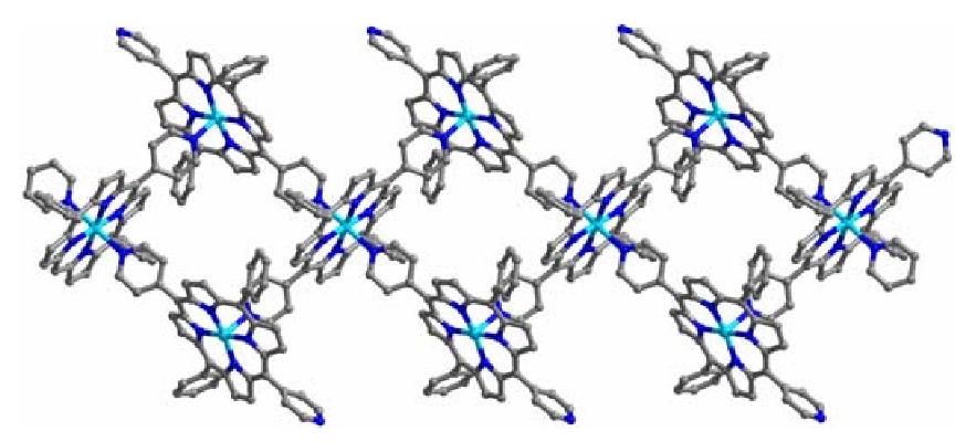 Fig. 20 (color online). View of the 1D coordination array in compound 40. Co (turquoise), N (blue) and C (gray). 