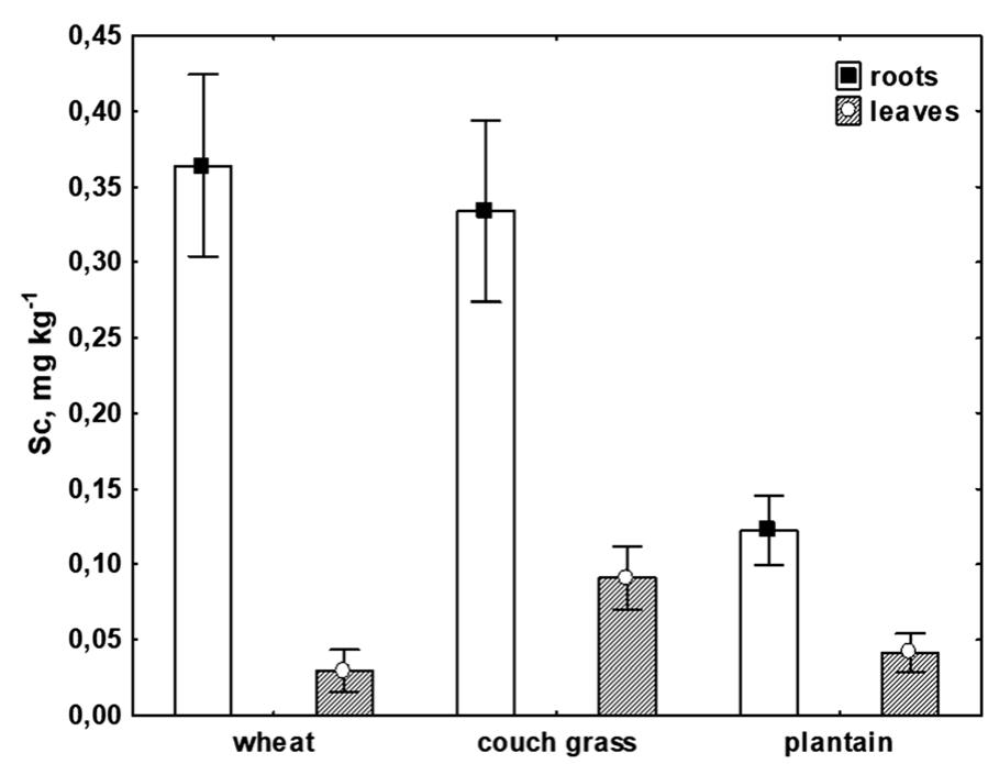 Fig. 4 Mean concentration + SD (n = 3) of Sc in roots and leaves of wheat, couch grass and plantain 