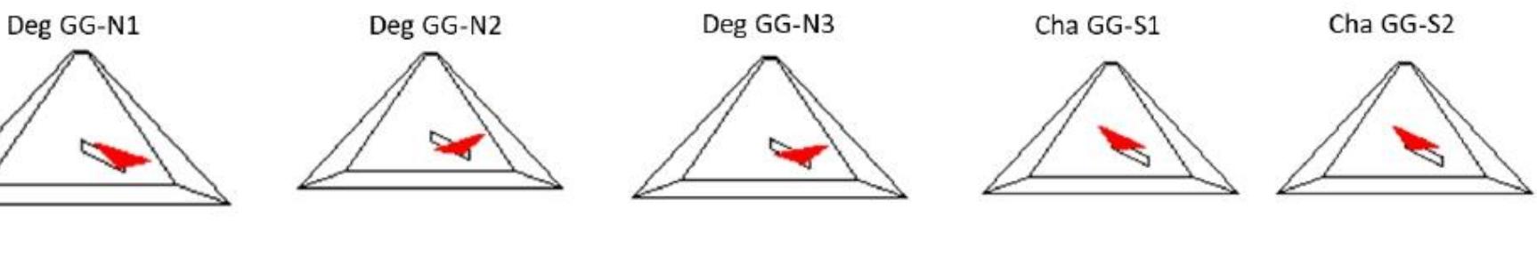 Positions and orientation of the CEA telescopes inside the GG1.
