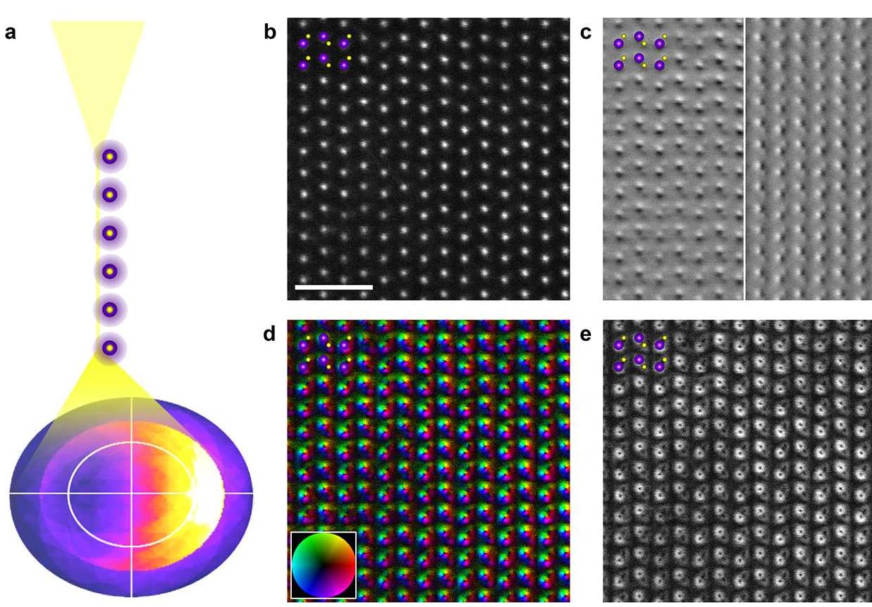 Figure 1. Visualization of crystalline GaN by aberration-corrected DPC-STEM. (a) Simulation depicting the intensity redistribution in the diffraction plane when the electron probe passes close to a heavy Ga column within a crystalline GaN specimen. The segmented area detector geometry is superimposed over the diffraction plane. (b) Experimental atomic resolution Z-contrast image for a GaN single crystal down the [112 0] axis. The scale bar corresponds to 10 A. (c) Orthogonal Tcomy (left), Icomx (tight) images obtained by weighting the signals acquired by each of the detector segments by their respective geometric center of mass. (d) Projected electric field vector map calculated from the Ic,y components in (c). The inset color wheel indicates how the color and shade denote the electric field orientation and strength. (e) Electric field strength map obtained from the I,,y components in (c). All experimental images were acquired simultaneously. The superimposed atomic models depict the Ga (purple) and N (yellow) atomic column positions. 