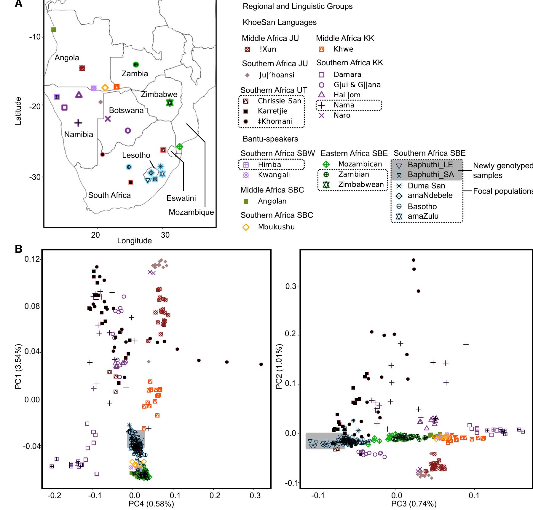 analyses (A) A map of the included data. Country labels included.  (B) Principal-component (PC) analysis showing the first four PCs arranged to emphasize patterns. The percentage variation explained b each component is indicated in brackets along the respective axis. The plot symbol colors indicate regional and linguistic divisions. Th focal populations are highlighted in the figure key by a dotted box and in the plots by a black symbol overlaying the colored symbol. Th newly genotyped data are highlighted with a gray box in the figure key and in the plots. Linguistic abbreviations used: southern Bantoic western Bantu (SBW), southern Bantoid, Central western Bantu (SBC), southern Bantoid, eastern Bantu (SBE), Juu KhoeSan (JU), Khoe Kwadi KhoeSan (Kk), !Ui and Taa KhoeSan (UT). 