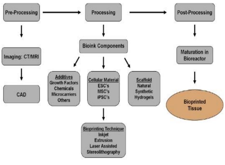 have quite a chance to reduce the process and money spent on product development. Combined improved CAD, CAM, and RP&M systems are used when implementing local parts and manufacturing for rapid prototyping and when improving the potential of rapid growth for an extra-large quantity of small and medium-sized enterprises [43-46]. Smart CAD & CAM skills get more relevant as years go by in product improvement within the technology of designing total product alternatives. 3-D bioprinting is widely popular today and, with its success, has increased the feasibility of synthesizing bio-identical tissues for various uses. 3-D bioprinting can also be referred to as rapid prototyping, additive manufacturing, and free form fabrication. Extensive work was reported by Bishop et al. [47] on the current and future trends of 3-D_ bioprinting technologies Figure 10. With the incorporation of CAD/CAM, 3-D bioprinting has an excellent future for tissue engineering and regenerative medicine. However, it will require more multidisciplinary expertise in actualizing this technology [47].  