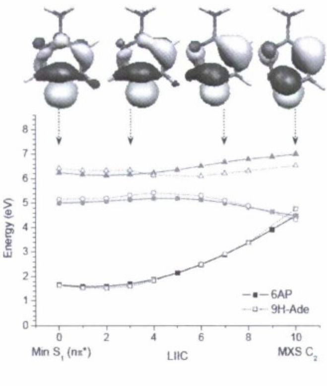 References:  Upon the photoexcitation, some aromatic and heteroaromatic rings can radiationless return t the ground state within few picoseconds, while others remain in the excited state for mucl more time until deactivate by photoemission. The difference between these two kinds o systems is the availability of conical intersections - degeneracy between the ground and th 2xcited states - that allow the ultrafast conversion. Although it is normally possible to fin Sonical intersections for any of these systems, they may be hidden by barriers or simply occu at too high energies to be accessible with the photon energy. In order to understand th general underlying phenomenon we have investigated several of such cases, namely the 6 membered rings aminopyrimidine, pyridone, and thymine and the 5-membered rings pyrrole furan, imidazole, cyclopentadiene and thyophene. The research has been conducted by mean of high-level ab initio calculations, with optimization of stationary points, search of conica intersections, and determination of reaction paths obtained at CASSCF and MRCTI levels Classical and surface-hopping direct dynamics have been performed using the progran NEWTON-CX [1] interfaced with the COLUMBUS [2] package, both developed in our group In the examples discussed, we show how the structure of the out-of-plane conica intersections can be understood in terms of simple biradical models. How these sam structures appear in different systems giving rise to classes of conical intersections. In whic] way (figure) and how long the molecule takes to reach the conical intersection. How th topography of the conical intersections influences the final products of the photoreaction.   * This work has been supported by the Austrian Science Fund, projects ADLIS and P18411-NI9. The authors acknowledge the collaboration of G. Granucci and M. Persico (Pisa), S. Salzmann and C. M. Marian (Diisseldorf), and M. Vazdar and M. Eckert-Maksic (Zagreb). 