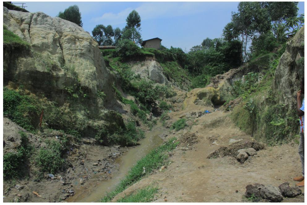 Figure 1: View of some environmental forms in the Wayimirya Valley.