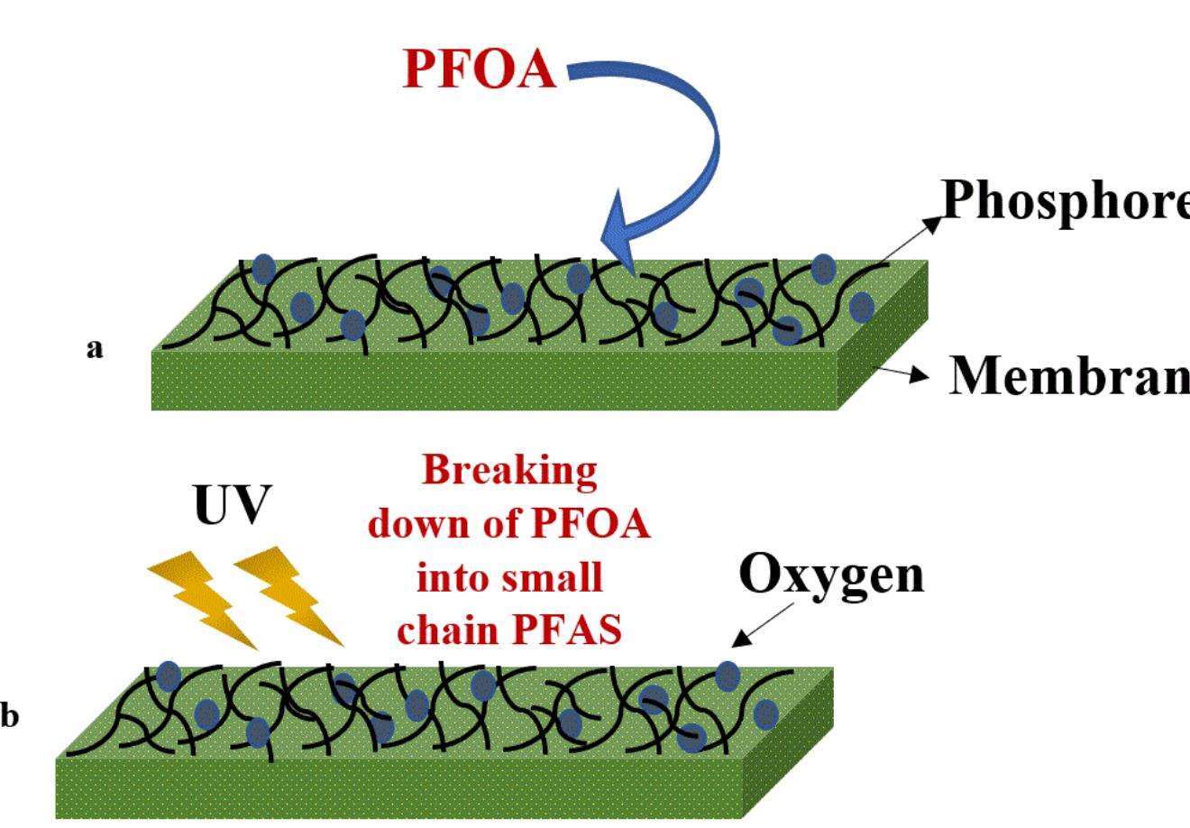of destruction technologies, it is always necessary to find an economical, efficient, and suitable process. A brief discussion about cost analysis is provided in the next section. A few of the conventional and modified membranes used for PFAS removal and destructior are summarized in Table 5. Figure 12. Schematics of the filtration process of PFOA on phosphorene membranes (a) followed by either treatment using UV light or liquid aerobic oxidation (b).