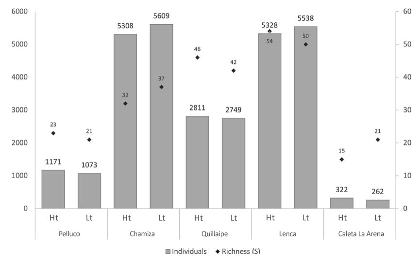 Figure 3. Number of individuals and species richness (S) by tides, high tide (HT) and low tide (LT) for 5 coastal wetlands of the first section of the southern highway (Pelluco, Chamiza, Quillaipe, Lenca, Caleta La Arena). 