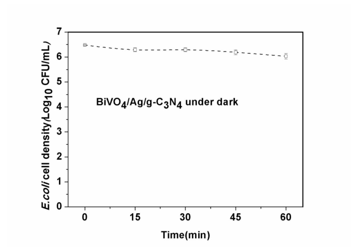 Fig.S9 The inactivation of E. coli cells by BiVO4/Ag/g-C3N4 composite under dark  condition; the dosage of photocatalyst was 0.25 g/L 