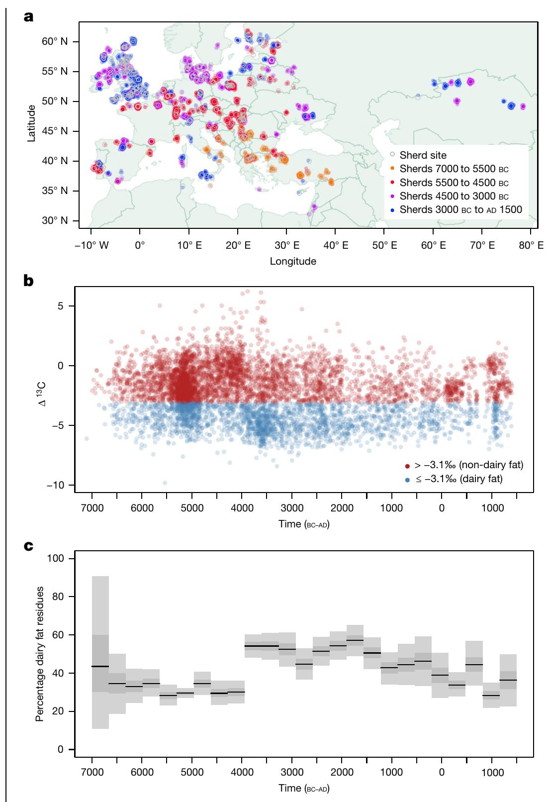Fig. 1|Geographical and temporal distribution of archaeological milk fat residues in potsherds. a, Coloured circles illustrate 6,899 potsherds with animal fats from 826 phases from 554 sites (grey circles). Coloured circles are jittered to prevent perfect overlay, enabling the number of sherds to be visualized. b, Plot of A¥C values for all 6,899 animal fat residues extracted from prehistoric potsherds through time. Each point corresponds to an individual measurement ona potsherd, with its position on the xaxis randomly sampled from the uniform date range of the associated archaeological phase. Animal fats with AYC values <—3.1%o are defined as ruminant milk fats. Mare’s milk is not characterized using this proxy* and would thus be defined as ‘non-milk’. c, Percentage of dairy fat residues through time, calculated using all animal fat residues. Grey bars and black lines illustrate 95%, 50% confidence interval (Cl) and maximuma posteriori (MAP) in each time slice, using a uniform prior. 