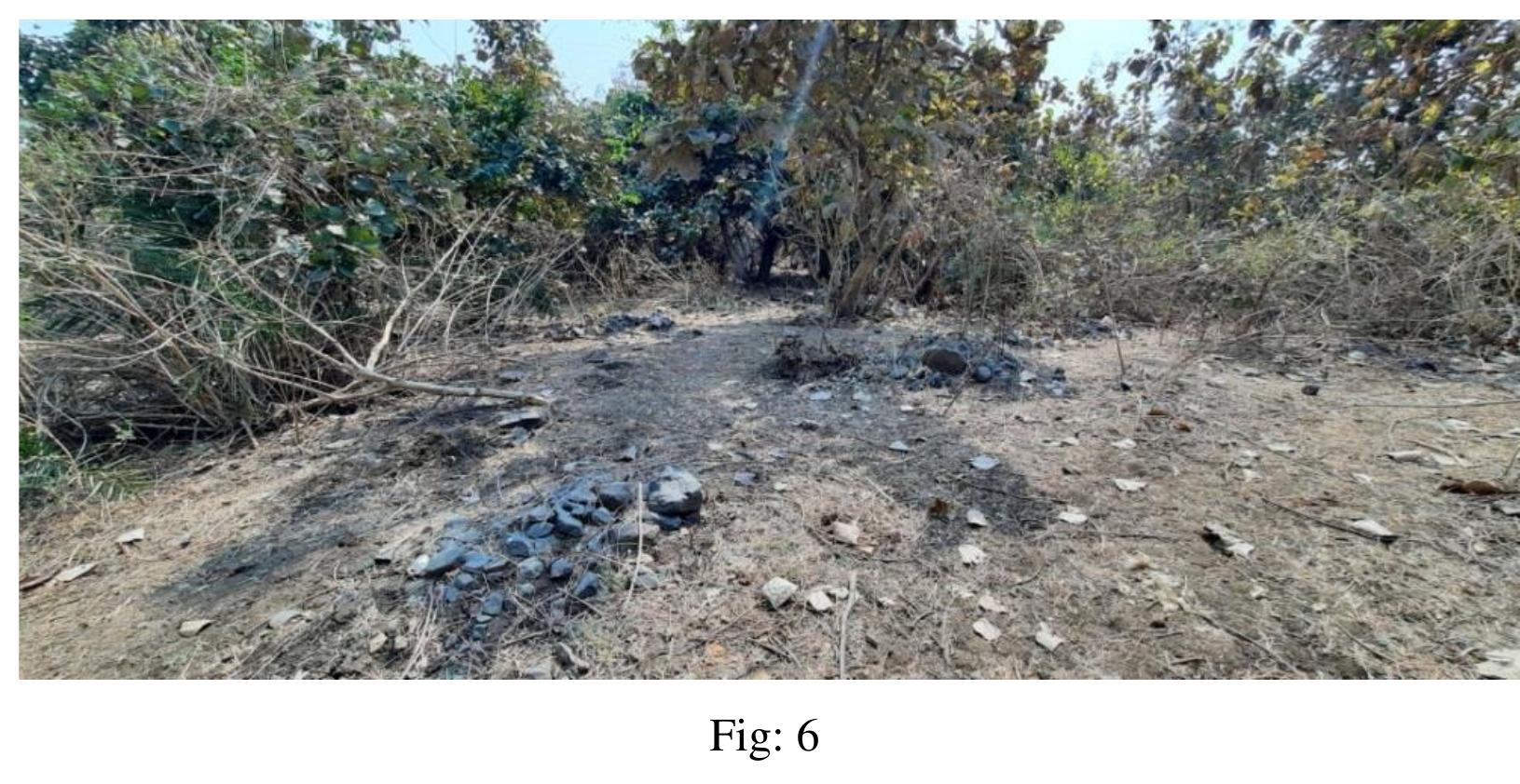 similar aspects can be ascribed to these present traditions too (Vaidya 2014).  The cremation process in the other hand needs a lot of fuel in the form of wood and cow-dung; 