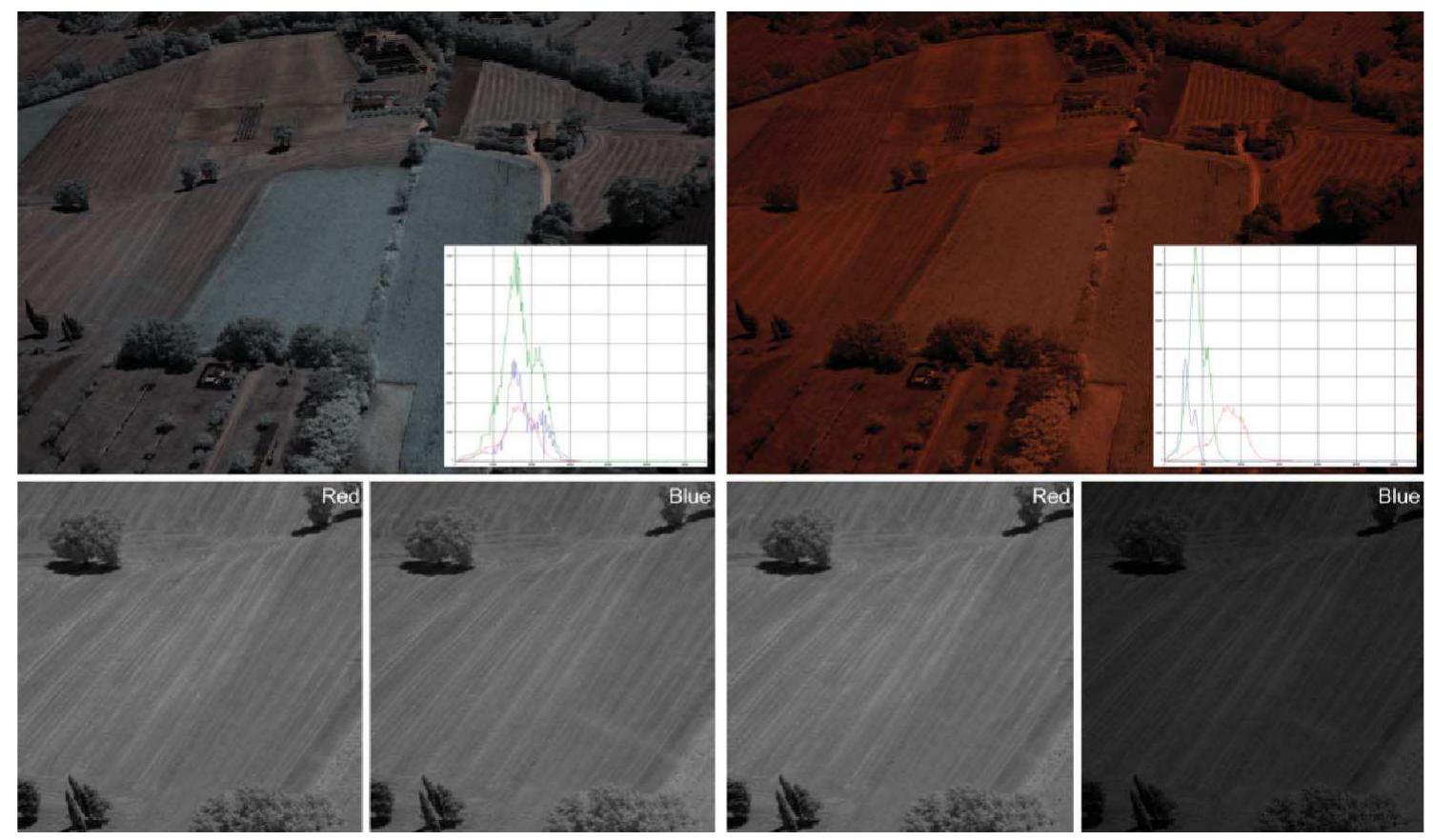 Figure 8. (a) NIR NEF file with custom channel multipliers and (6) the same image without any WB. The lower part shows the red and blue channels of (a) and (d), respectively.  and others) for accurate determination or arbitrarily choose values (in which case, the saptured WB serves as a reference point to adjust the colours further). Independently of which approach is used, the WB is altered without altering the original RAW file or Jestroying any of the initially captured information. Therefore, RAW is an ideal solution when the photographer is not completely sure about the CCT of the light (as n aerial photography) and/or maximum possibilities in post-processing have to be maintained. Additionally, using software more suited for scientific purposes e.g. MATLAB™ by Mathworks, dcraw'™ and IRIS'™) the image can be processed without any WB being applied, hence yielding the originally captured DNs (which, in fact, 1s equivalent to multiplying every channel by a factor of 1.0). This is extremely mportant when the spectral response of a DSC needs to be determined (as in Moh ot al. 2005, Verhoeven eft al. 2009) or in case non-visual imaging is performed. Verhoeven et al. (2009) and Verhoeven (2007, 2008) describe the use of a modified D-SLR, capable of taking pure Near-InfraRed (NIR) aerial photographs. As there is 10 need to get true colour in this invisible range, white balancing can be omitted, senerating files that clearly show the different spectral response of every channel. In ‘igure 8(a), an NIR Nikon Electronic Format (NEF; Nikon’s proprietary RAW format) aerial photograph was linearly processed (see §5.3) to a white balanced, 16 vit TIFF using deraw'™, a free RAW decoder (Coffin 2008). Figure 8(b) shows the same image without any WB applied. The inset histogram clearly indicates the lifferent responses of the three filter sets, showing that the red filters are most ransparent to the NIR (hence the image’s accordingly dominant colour). The differ- -nt response in the red and blue channels of figures 8(a) and 8(d), is again shown in the ower part of figure 8. These results show that omitting WB can be very important in -ases when only one or two spectral channels are needed or absolute spectral intensity measures have to be taken.  