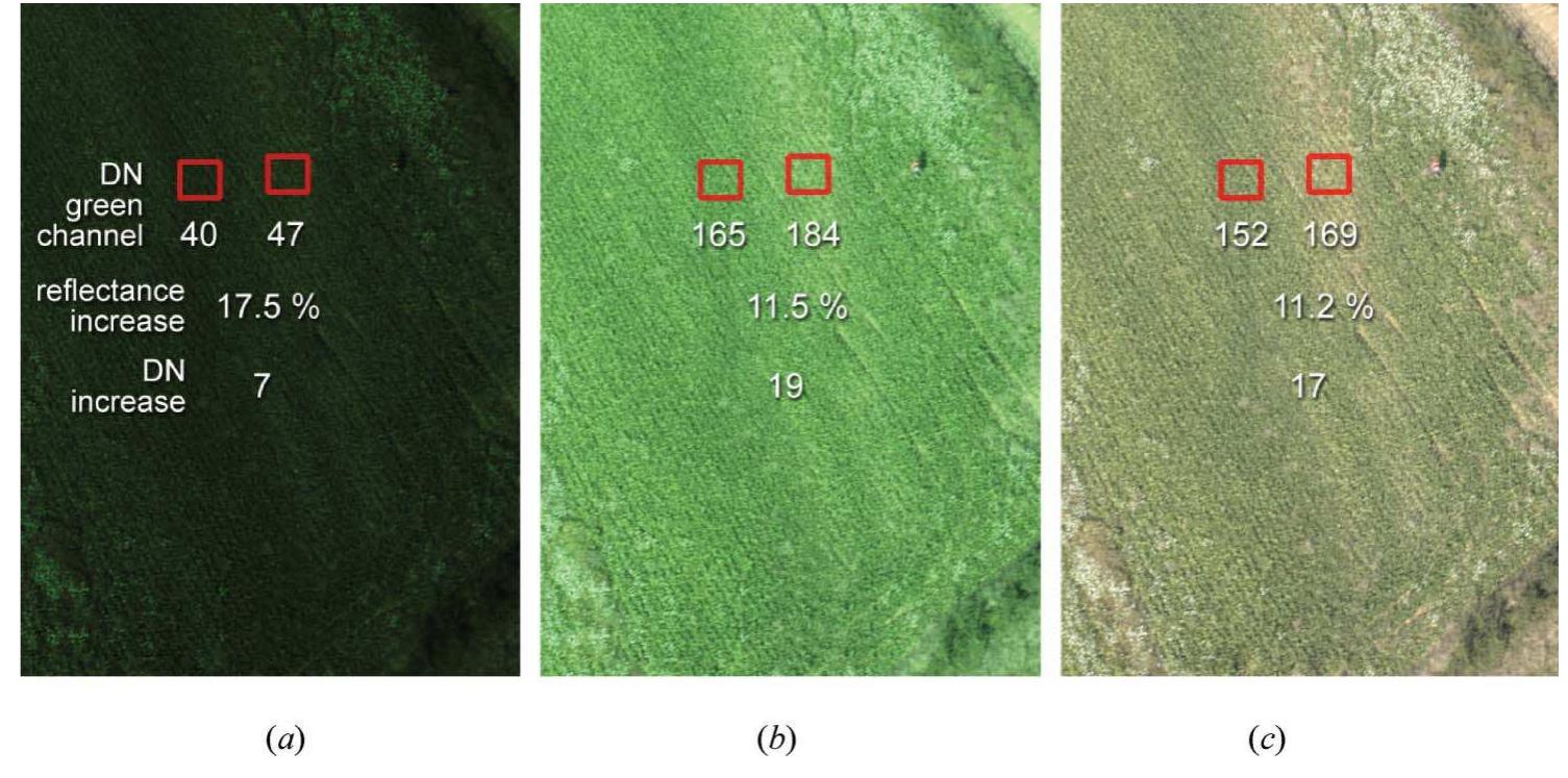 Figure 15. Relative (%) and absolute (DN) reflectance increase in stressed vegetation canopy collected from a single, but differently processed RAW frame: (a) linear /no WB, (4) non-linear /no WB and (c) non-linear / WB. 