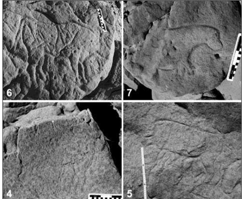 Fig. 3. Incised (and partially pecked?) figures in the rock art assemblage. Parts of the animals are difficult to see due to the light conditions. Numbers refer to panels. 