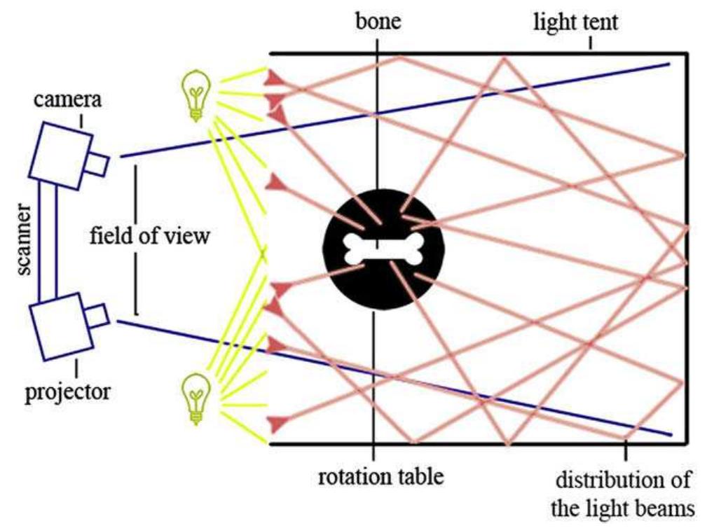 Fig. 5. View of the scanning arrangement from above, illustrating the benefits of using a photographic light tent to evenly distribute light for optimal scanning with minimal shadows. 
