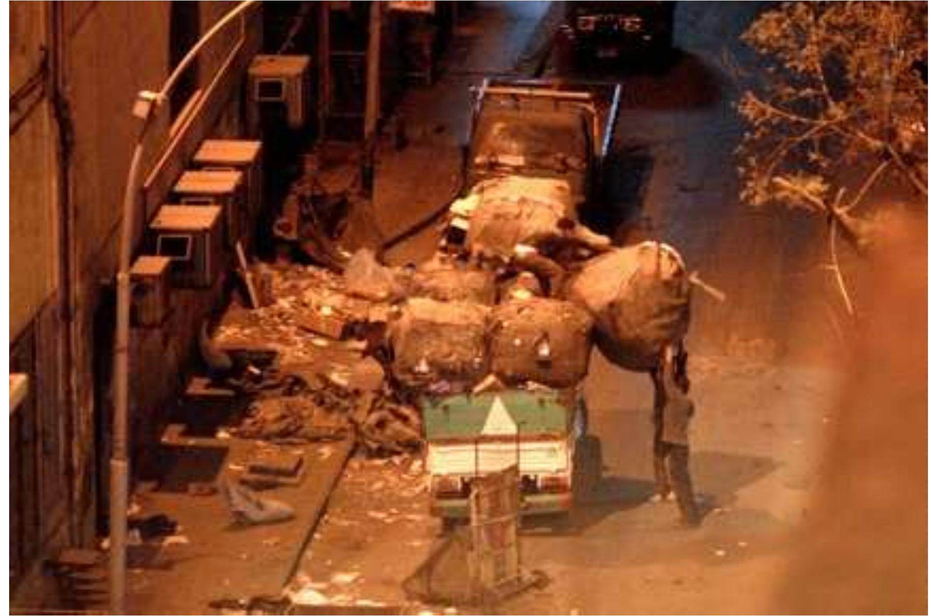 FIGURE 21. Zabbaleen loading waste scavenged from AAEC dumpsters on Falaky Street. Source: Author, 2009  lay and scavenge through the dumpsters periodically (Figure 22).’ They would remove the valuable  main strategies for overcoming this. First, they themselves would come to the area on foot during the 