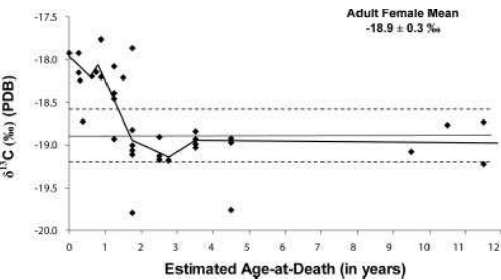 Fig. 3. Scatter plot of the Isola Sacra rib data (n = 37), showing 8'°C versus estimated age-at-death, with a lowess smoothing line superimposed on data points. Solid horizontal line represents the adult mean; dashed lines represent 1 stand- ard deviation from the mean. 