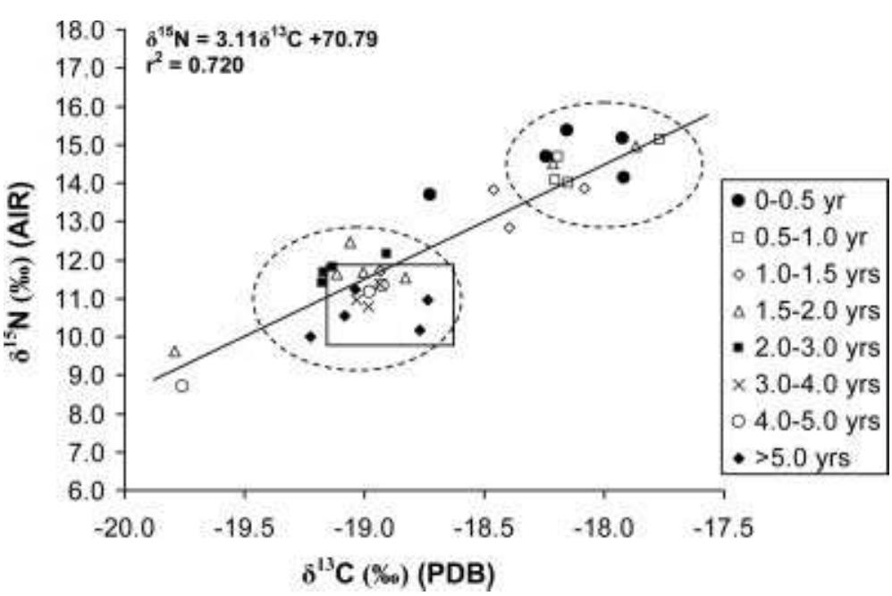 Fig. 4. Scatter plot of 8!°N and 81°C by age category with regression line plotted. The solid outline rectangle represents the mean and standard deviation of the adult female isotopic values (8'°N: 10.6% + 1.1% and 81°C: —18.9% + 0.3%o) (adult data from Prowse et al., 2004).  * One individual (SCR 392; age 7-8 yrs) has one tooth present and it is carious. This results in a Caries Rate of 100 and would arti- ficially increase both the Total % Caries (5.4%) and Caries Rate (12.2), and Overall Caries Rate (5.8) so this individual was not included in these calculations. 