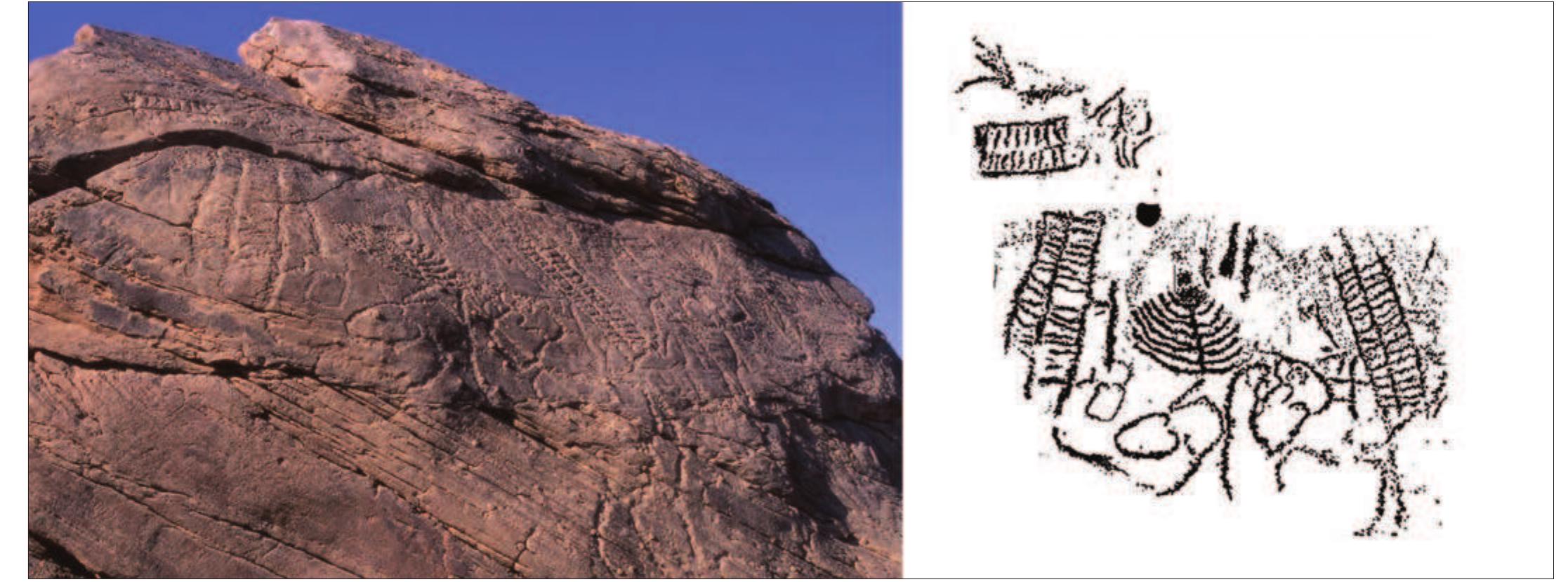 The Epipalaeolithic Repertoire  \BOVE Panel 1 at el-Hosh, Gebelet Yusef, locality 3, showing, among other figures, fish-trap designs and ladder-shaped motifs (panel length c. 2-7 m). Tracing: E. Marchi and I. Regulski. © RMAH, Brussels. 