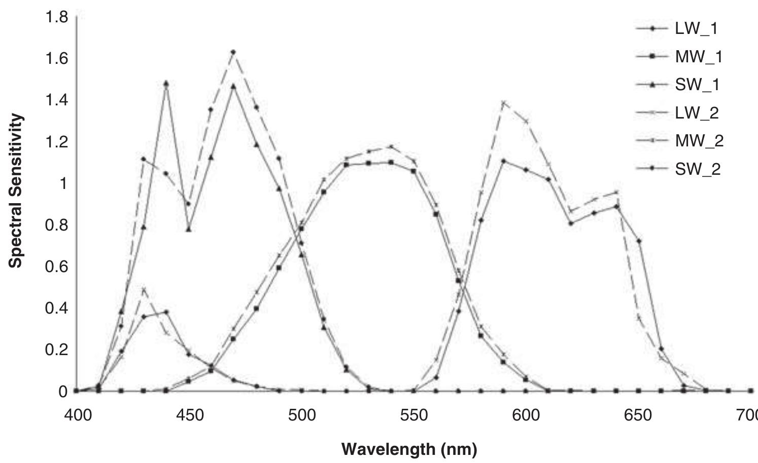 Figure 2. A plot of spectral sensitivity of two Nikon 5700 cameras for the longwave (LW), mediumwave (MW), and shortwave (SW) channels. Even though the cameras are the same make and model, and were purchased simultaneously, there are some (albeit relatively small) differences in spectral sensitivity. 