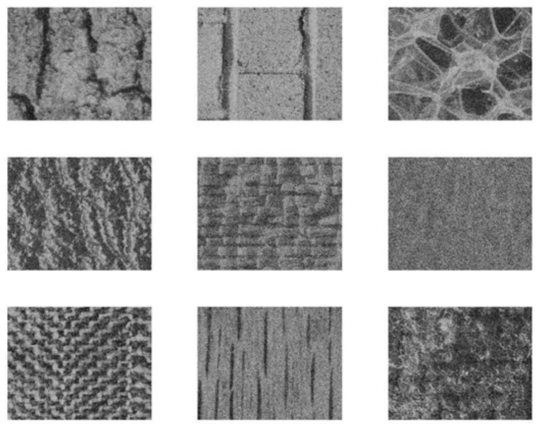 Fig 3. 256 x 256 windows of the noisy texture images