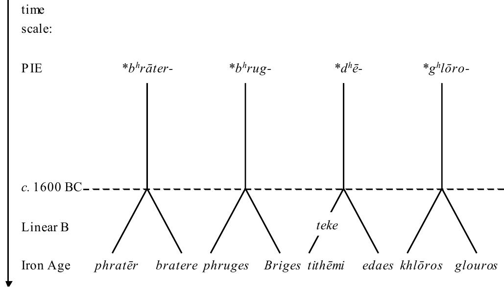 Fig. 10. Reconstruction of the split between Greek and Thraco- Phrygian on the basis of the development of the mediae aspiratae  (after Haas 1966: 209). 171 