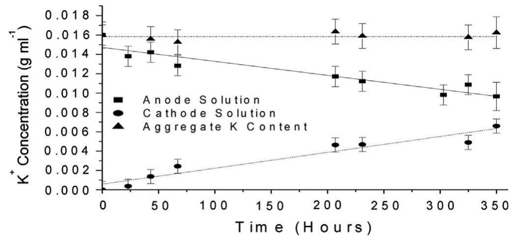 Fig. 8. The change in K* concentration of the anodic and cathodic solutions over time under the application of a 1600 V m”! potential. 